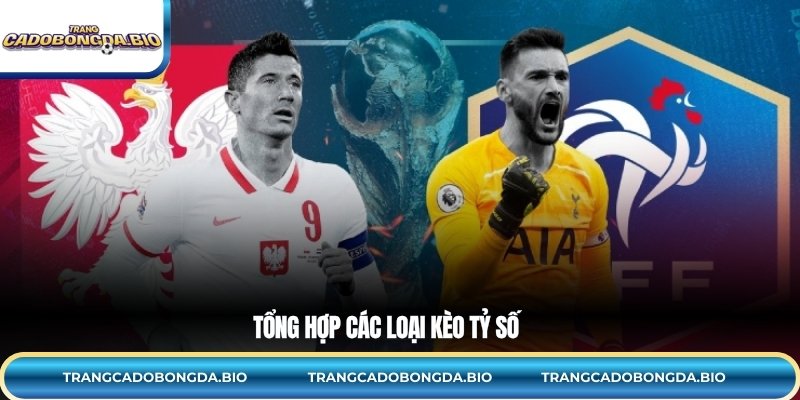 Tổng hợp các loại kèo tỷ số