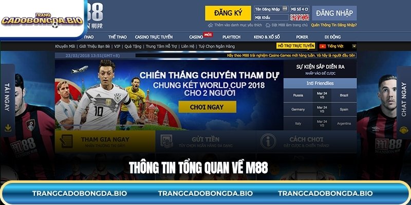 Thông tin tổng quan về M88